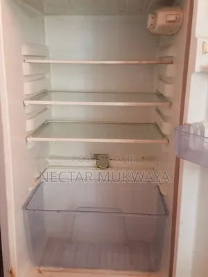 Affordable Fridge
