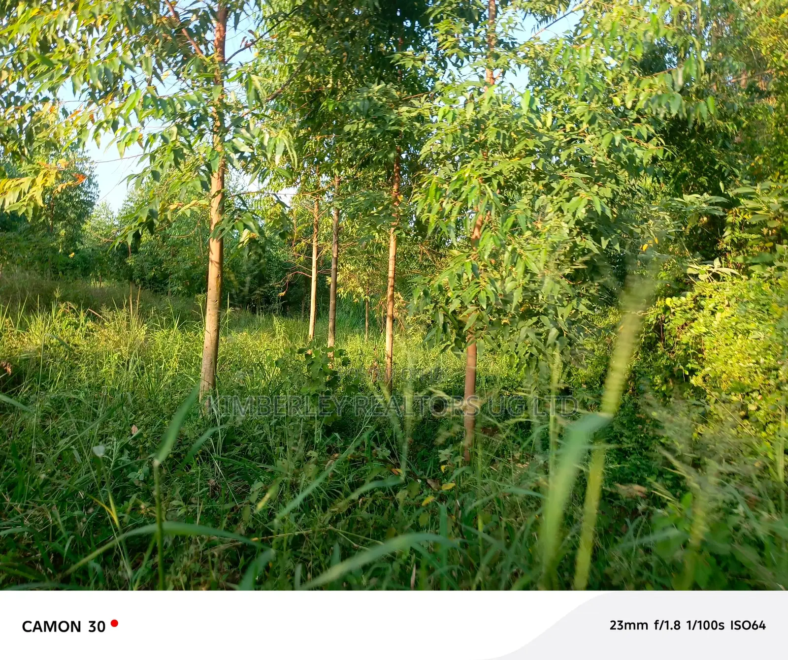 1 Commercial Acre – Naguru
