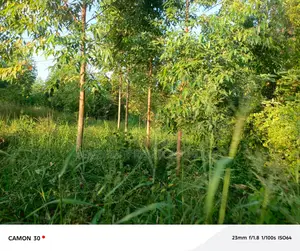 1 Commercial Acre – Naguru
