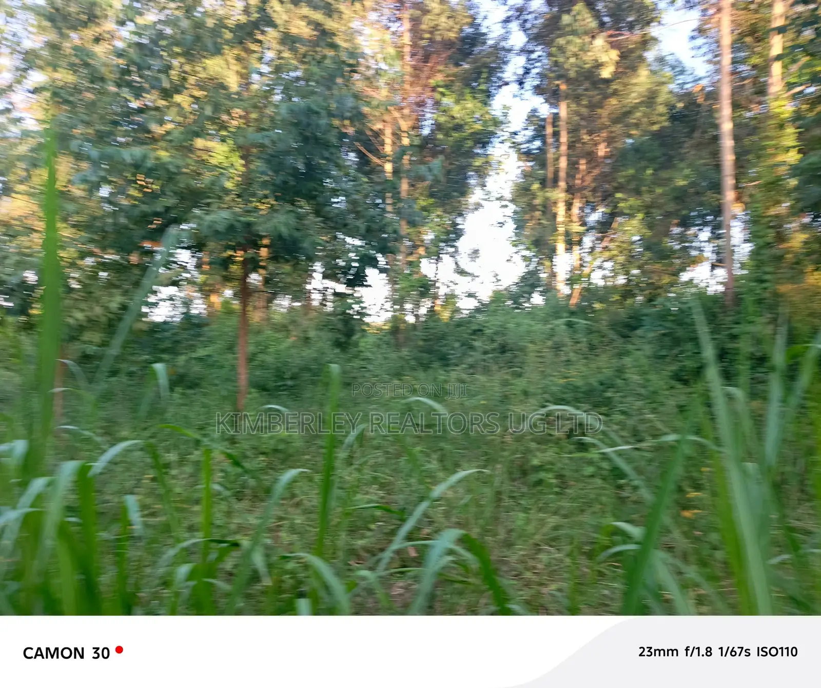 3 Plots For Sale – Matugga Sanga At 24m/Plot