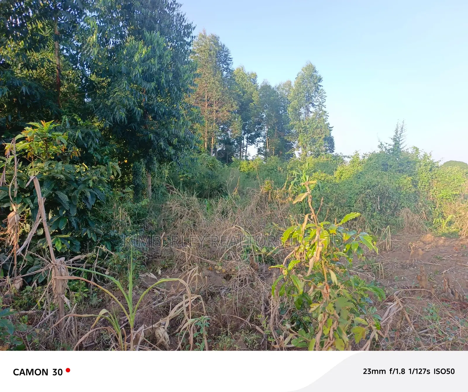 Buzibwera Tokekulu Estate : Prime Agricultural Land At 13m Per Acre