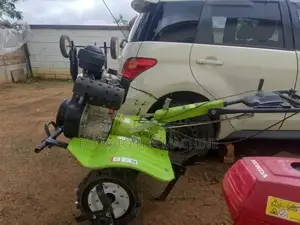 Mini Walking Tractor