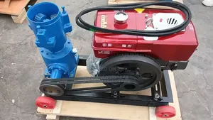 Diesel Pellet Machine