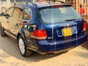 Volkswagen Golf Variant 2010 Blue