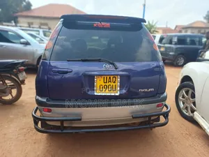 Toyota Raum 1998 Blue