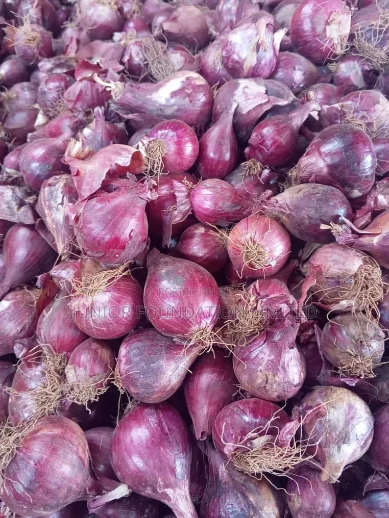 Onions On Sale