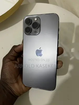 Apple iPhone 13 Pro Max 128 GB Gray