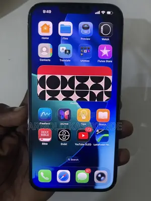 Apple iPhone 13 Pro Max 128 GB Gray