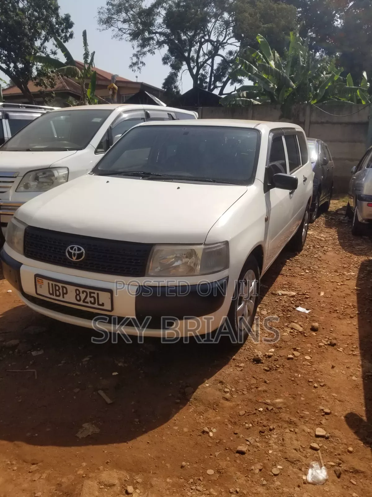 Toyota Probox 1.3 DX 2WD 2008 White