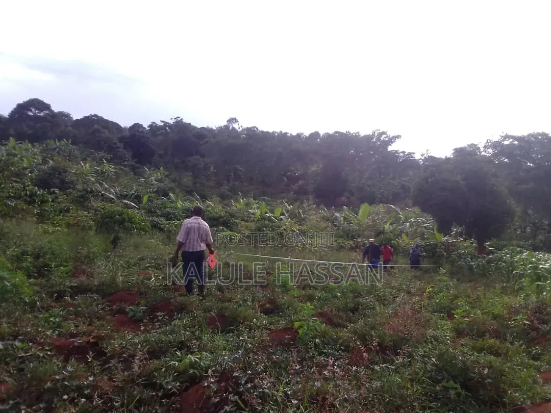 Plot 25ft by 50ft for Sale at Kapeeka