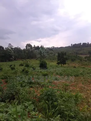 Plot 25ft by 50ft for Sale at Kapeeka