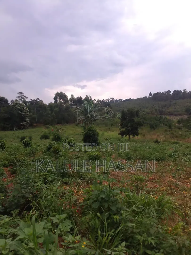 Plot 25ft by 50ft for Sale at Kapeeka