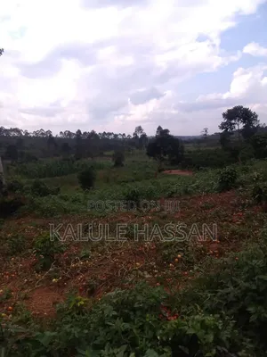 Plot 25ft by 50ft for Sale at Kapeeka