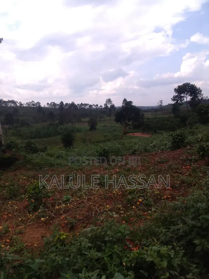 Plot 25ft by 50ft for Sale at Kapeeka