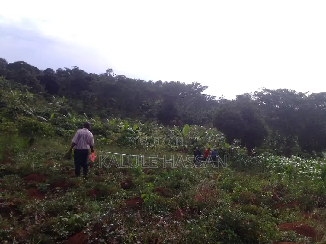 Plot 25ft by 50ft for Sale at Kapeeka