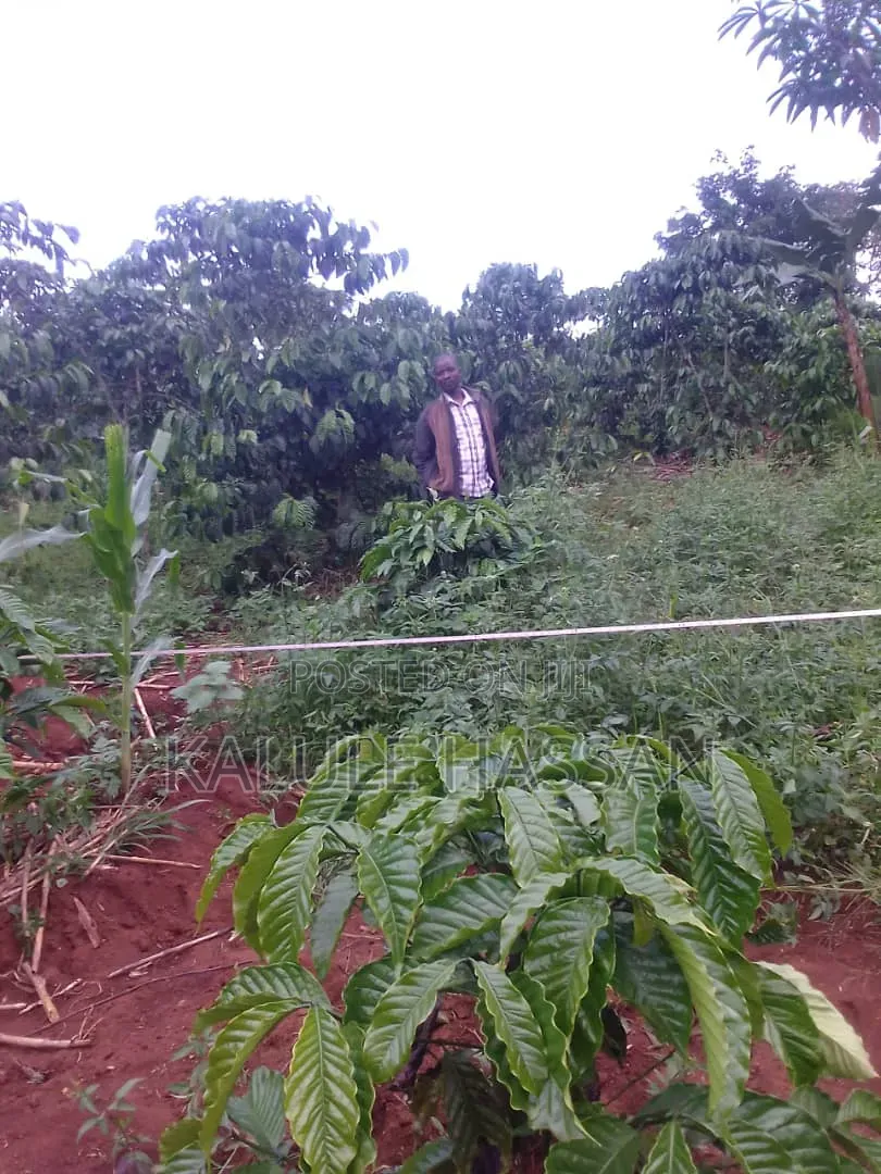 Plot 25ft by 50ft for Sale at Kapeeka