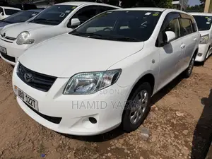 Toyota Corolla Fielder 2010 Silver