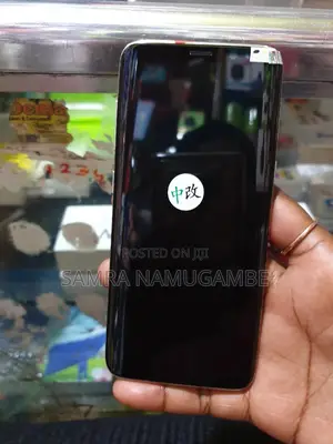 Samsung Galaxy S8 64 GB Gray