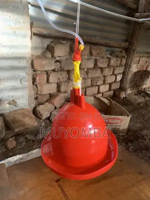 Plumbing From Maganjo 24/7-leaks,Pipe, Toilet Repair