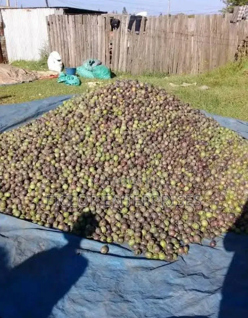 Fresh Passion Fruits for Sale – Sweet, Juicy Farm Fresh