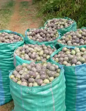 Fresh Passion Fruits for Sale – Sweet, Juicy Farm Fresh
