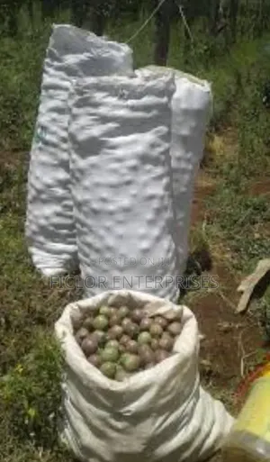 Fresh Passion Fruits for Sale – Sweet, Juicy Farm Fresh