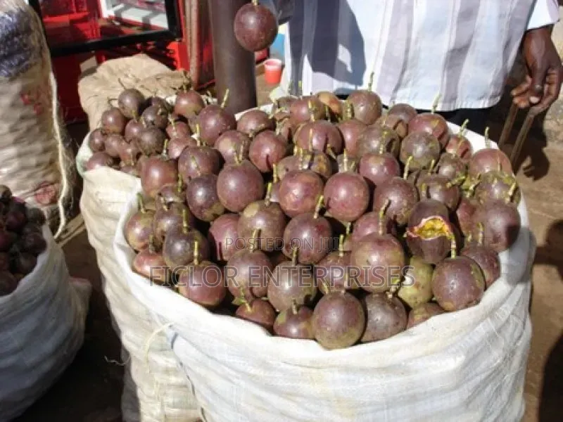 Fresh Passion Fruits for Sale – Sweet, Juicy Farm Fresh