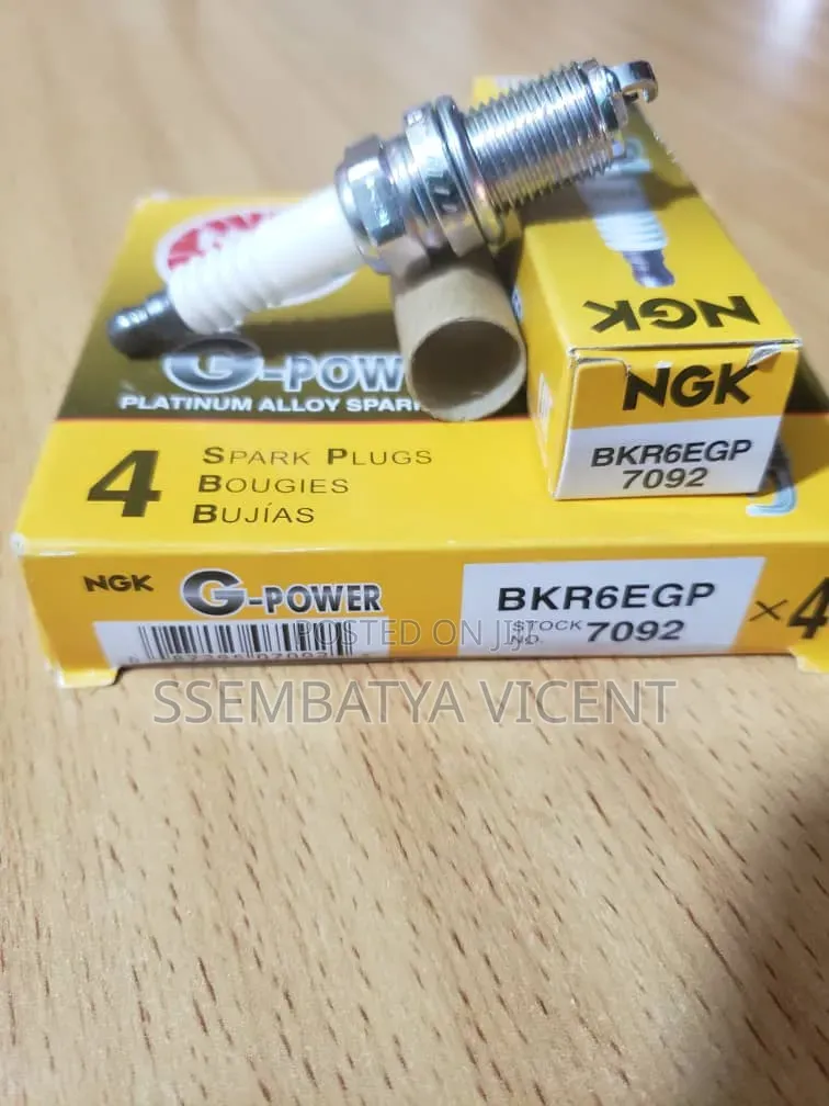 Genuine Spark Plugs