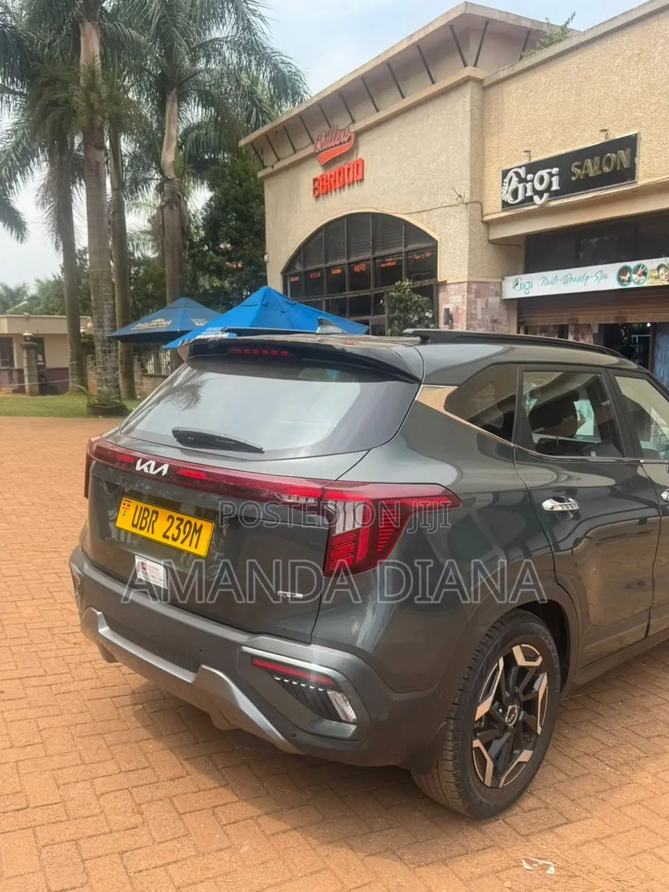 New Kia Seltos 2024 Green
