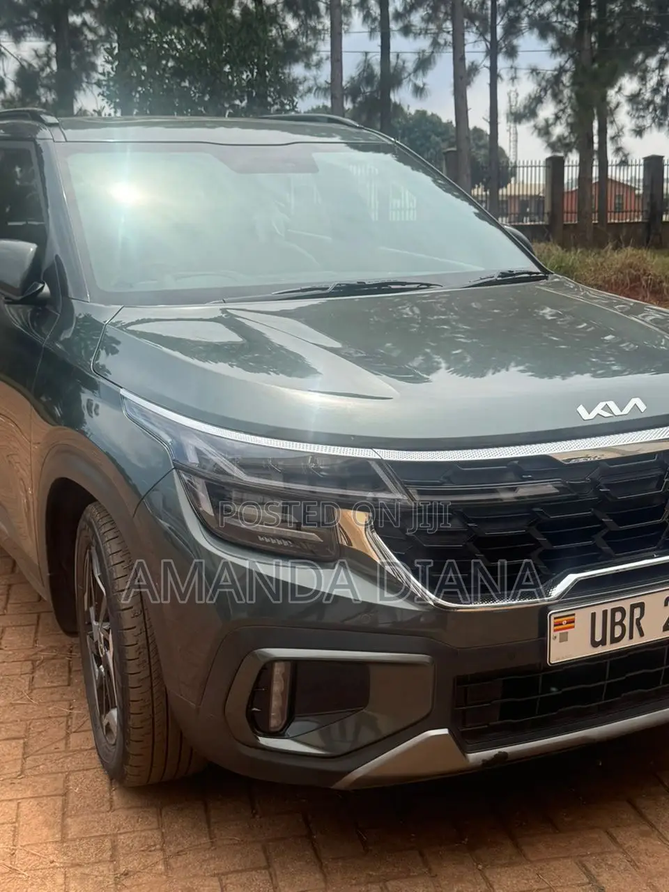 New Kia Seltos 2024 Green