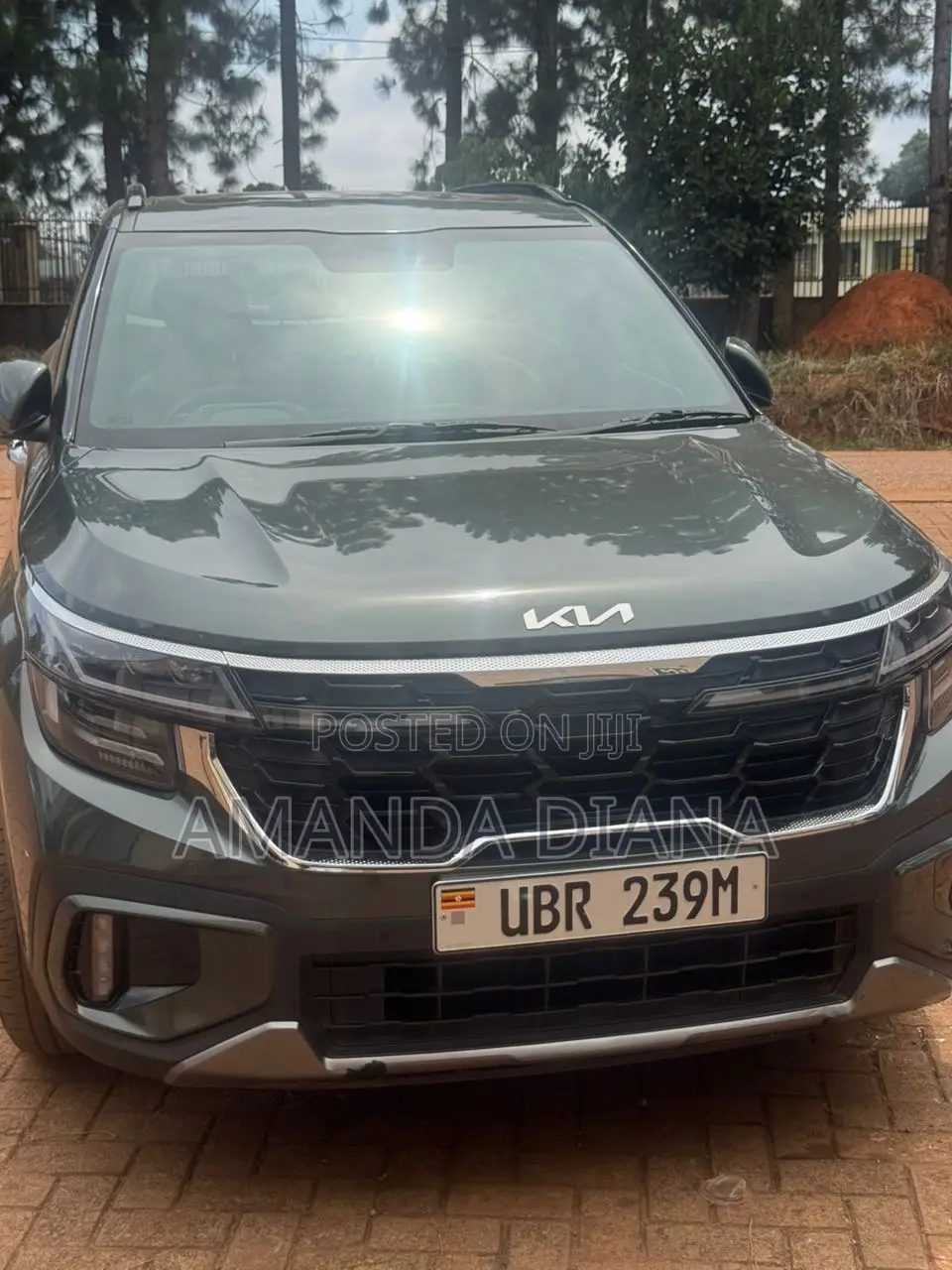 New Kia Seltos 2024 Green