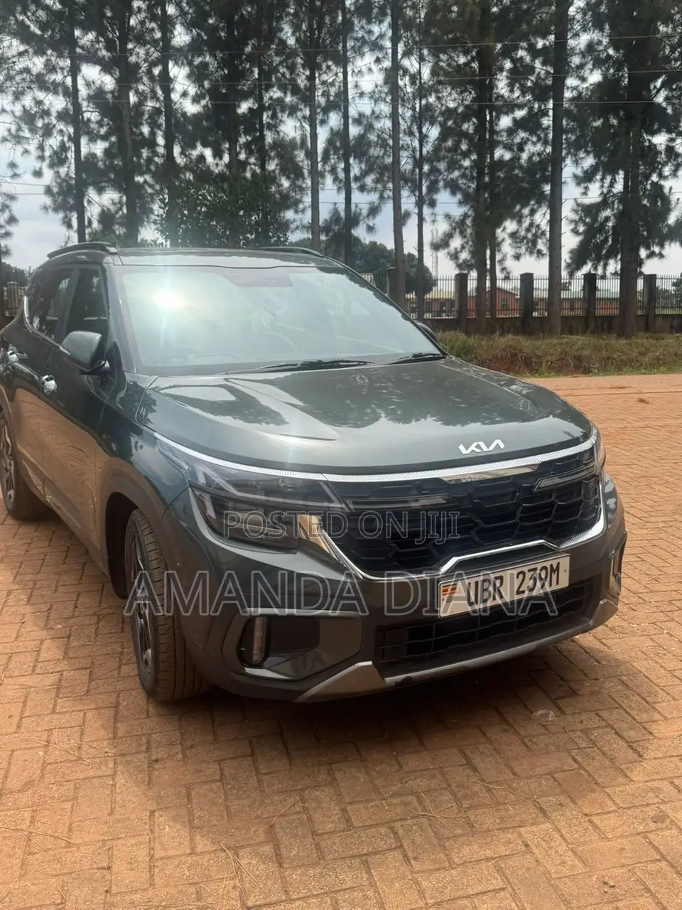 New Kia Seltos 2024 Green