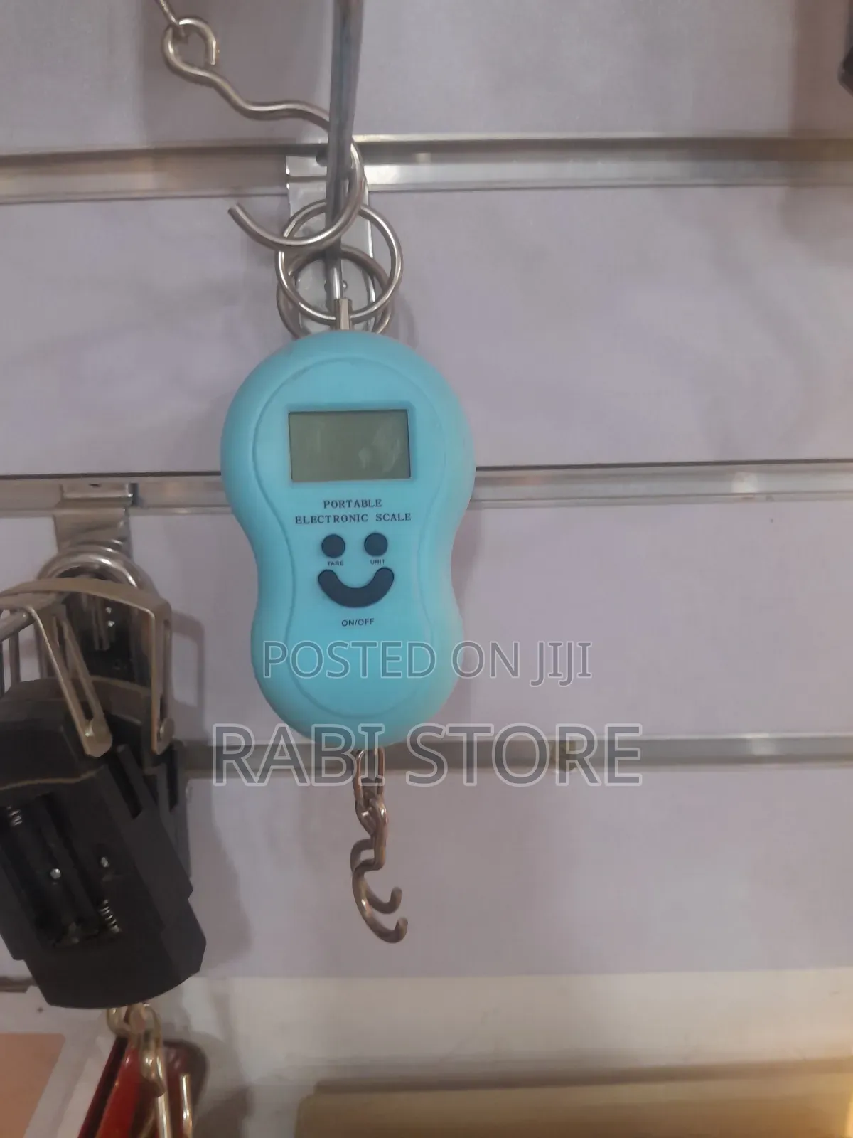 Portable Electronic Hanging Scale, 50kg