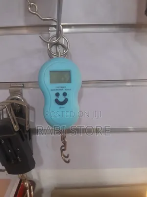 Portable Electronic Hanging Scale, 50kg