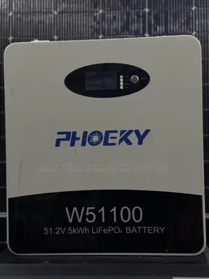 5kw 48v Lithium Ion Phosphate Battery