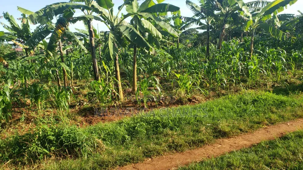 Plots on Sale in Kiwebwa