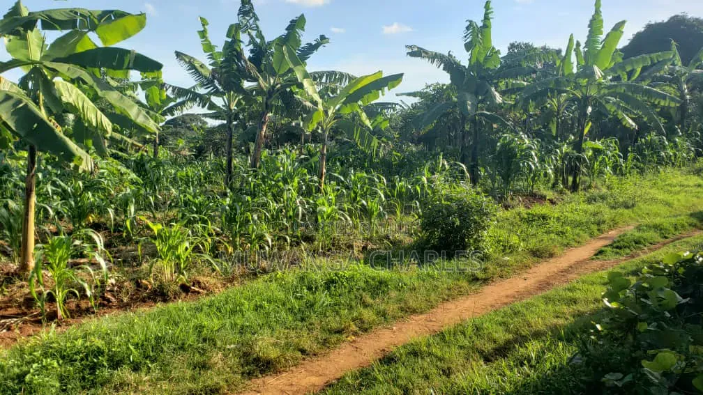 Plots on Sale in Kiwebwa