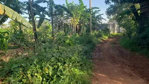 Plots on Sale in Kiwebwa