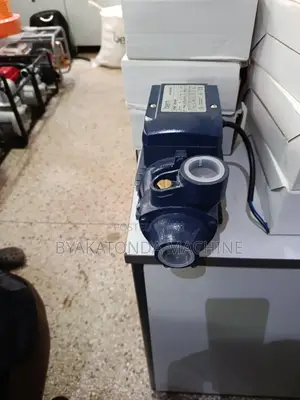 Electric Booster Water Pump