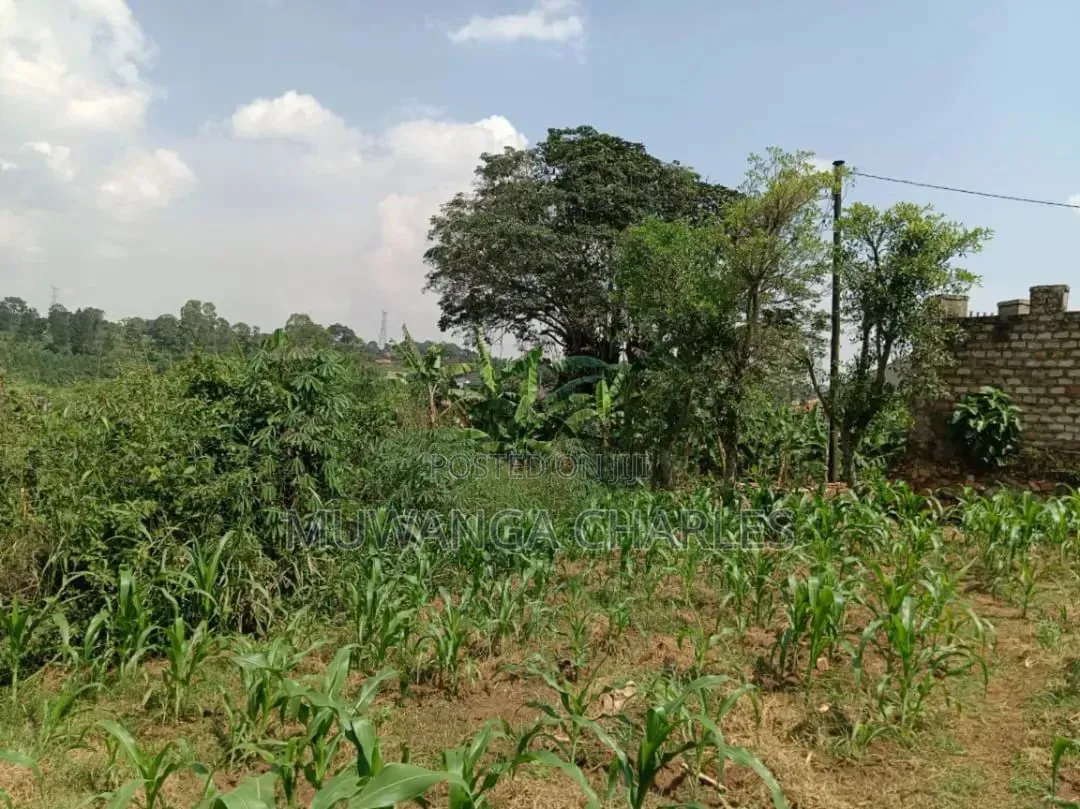 Plots on Sale in Kitukutwe