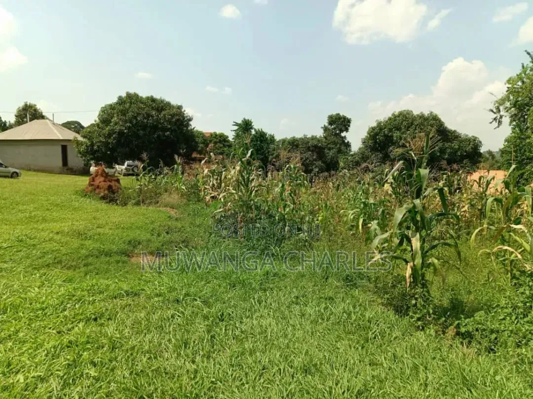 Plots on Sale in Kitukutwe