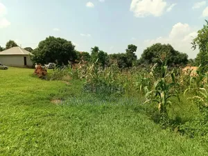 Plots on Sale in Kitukutwe