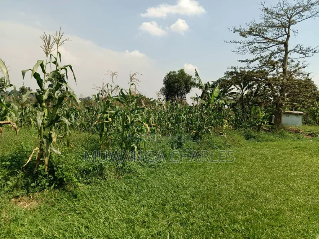 Plots on Sale in Kitukutwe