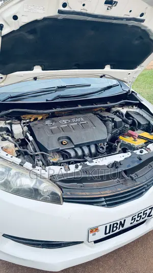 Toyota Wish 2011 White