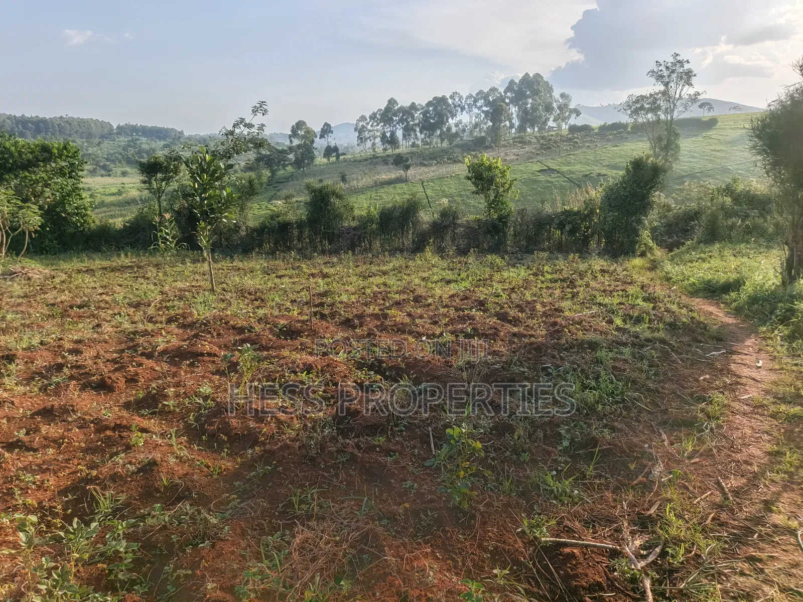 2acres of Land on Sale With a Residential House