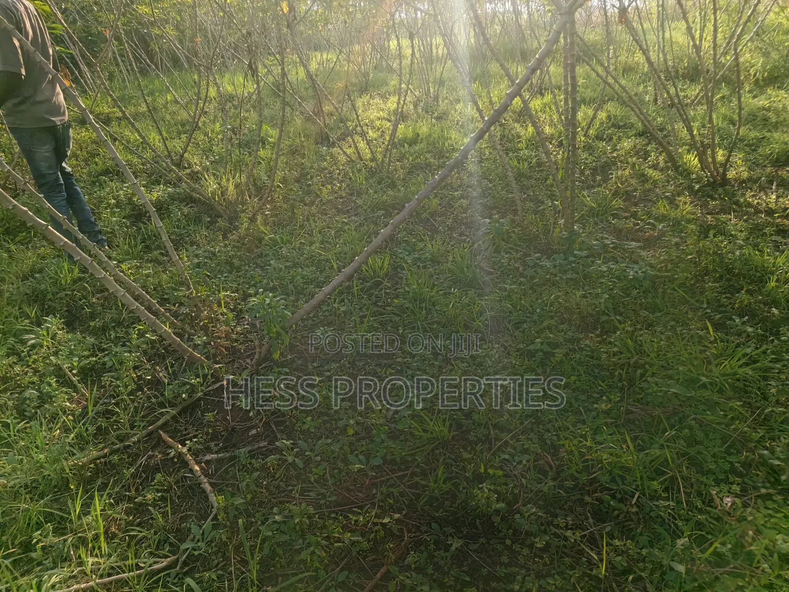 2acres of Land on Sale With a Residential House