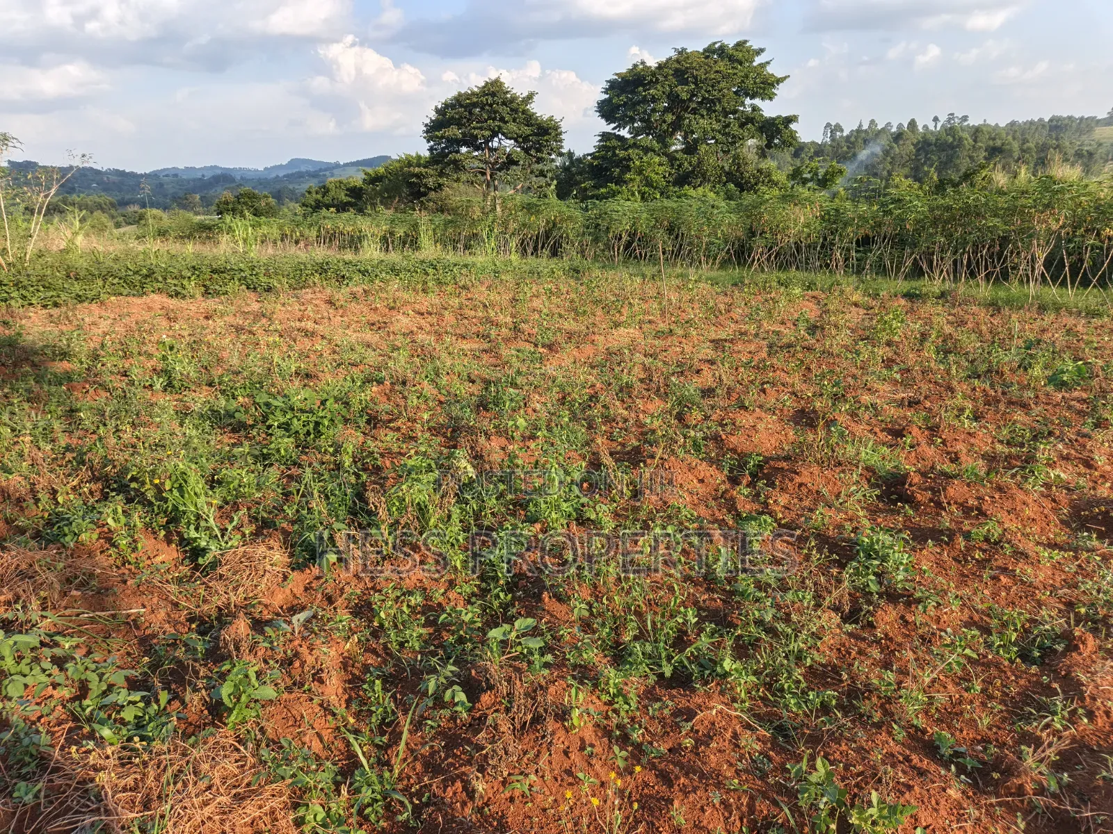 2acres of Land on Sale With a Residential House