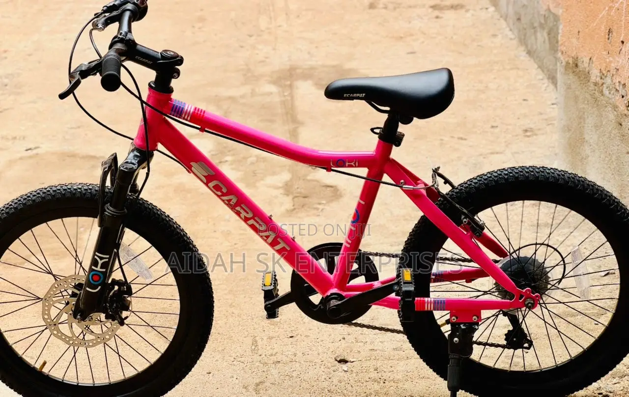 Ecarpat 24 Inch Kids Mountain Bike Boys Girls,