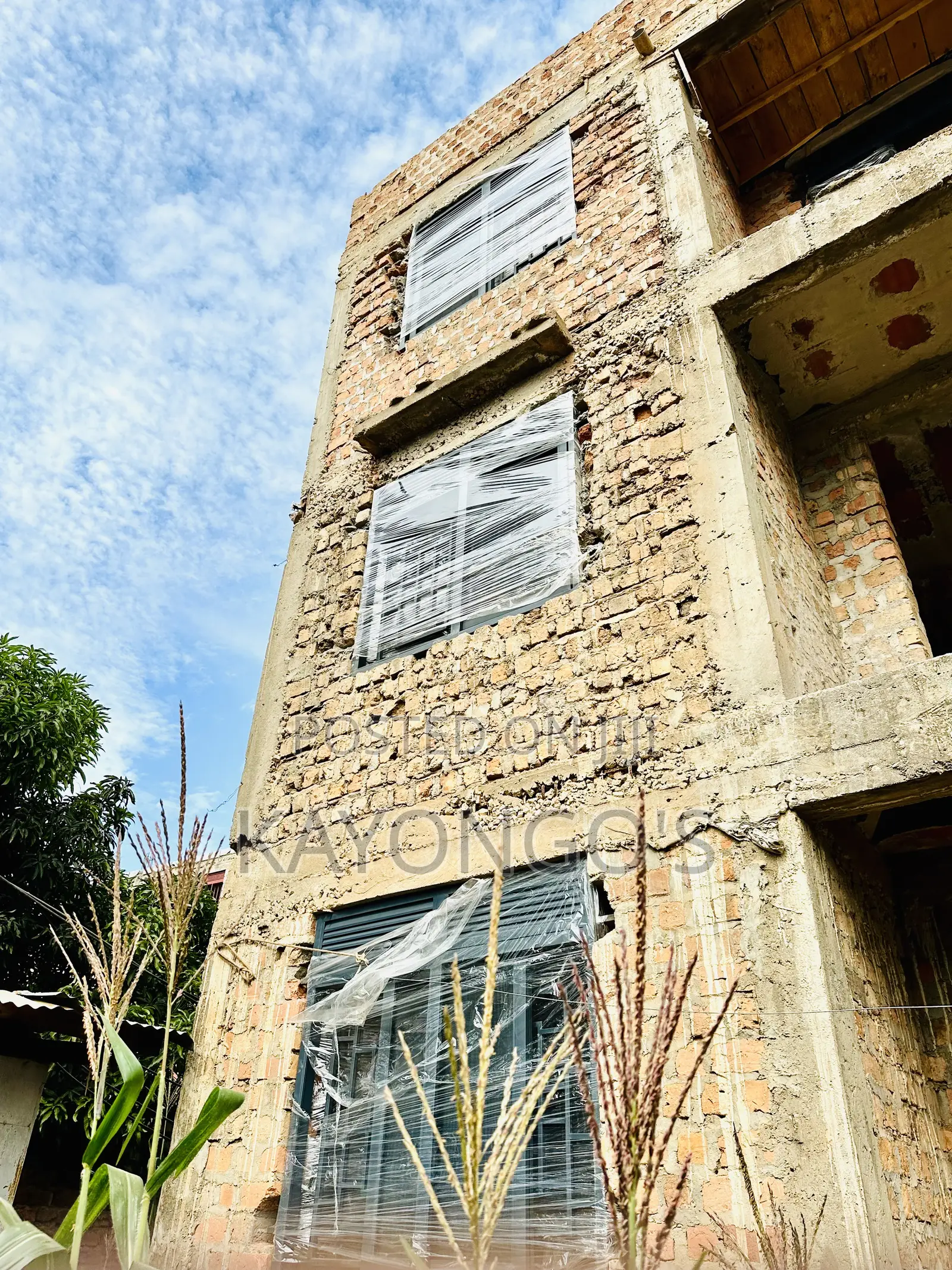 Windows Metalic With Mosquito Net