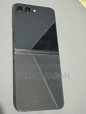 Samsung Galaxy Z Flip 5 256 GB Silver
